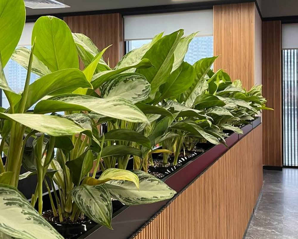 Панель МДФ ACUPAN 61.08.122507.94 трубки 12х122х2760 мм Эльм коричневый